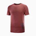 Pánské tričko Salomon Cross Run Graphic Tee Cabernet XL