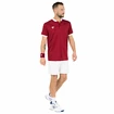 Pánské tričko Tecnifibre  Club Polo Cardinal