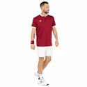 Pánské tričko Tecnifibre  Club Polo Cardinal