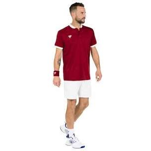 Pánské tričko Tecnifibre  Club Polo Cardinal