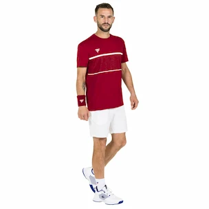 Pánské tričko Tecnifibre  Club Tech Tee Cardinal