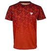 Pánské tričko Tecnifibre  X-Loop Tee Clay