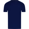 Pánské tričko Victor  T-Shirt T-33100 Blue