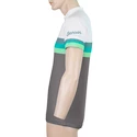 Pánský cyklistický dres Sensor  Cyklo Summer Stripe Grey/Green