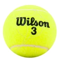 Tenisové míče Wilson  Championship (4 Pack)