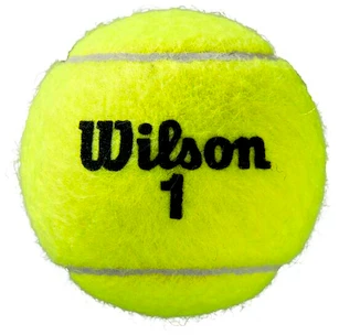 Tenisové míče Wilson  Roland Garros Clay (3 Pack)