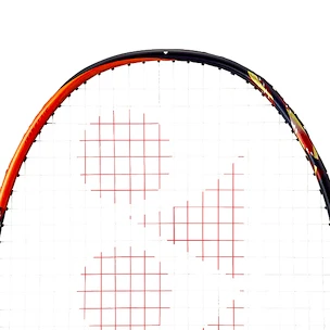 TESTOVACÍ RAKETA (Brno): Yonex Astrox 99