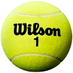 Velký tenisový míč Wilson  Roland Garros 9" Jumbo Yellow